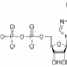 Adenosín Trifosfato