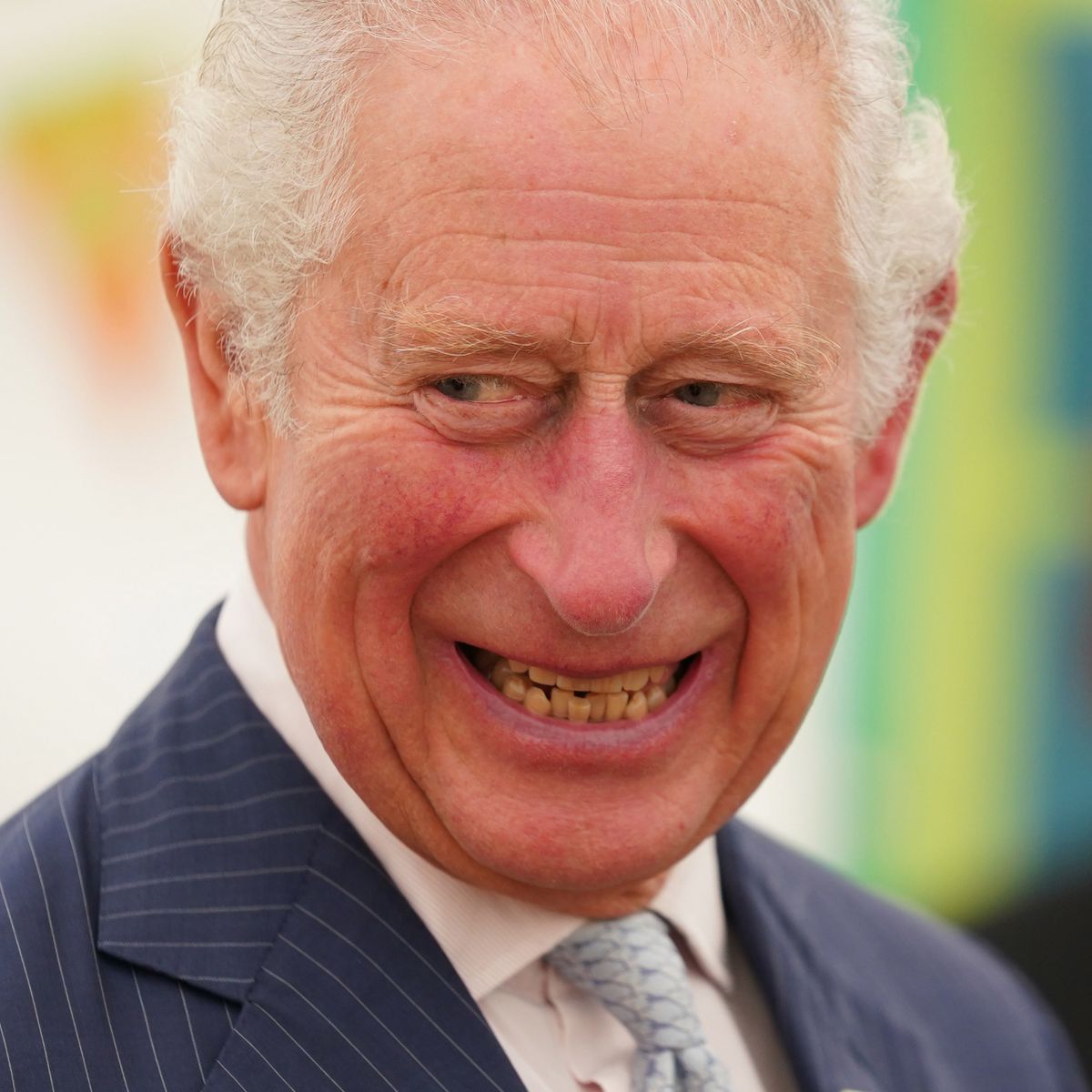 1_The-Prince-Of-Wales-Visits-The-Gloucester-And-District-Branch-Of-Samaritans.jpg