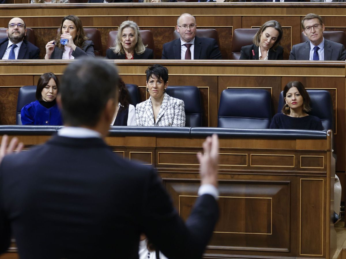 Foto: El presidente del Gobierno, Pedro Sánchez, replica al líder del PP, Alberto Núñez Feijóo, en el Congreso de los Diputados. (EFE/Mariscal)