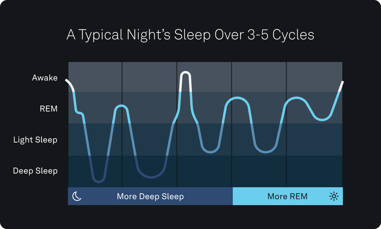 How-Many-Sleep-Cycles-Each-Night.png