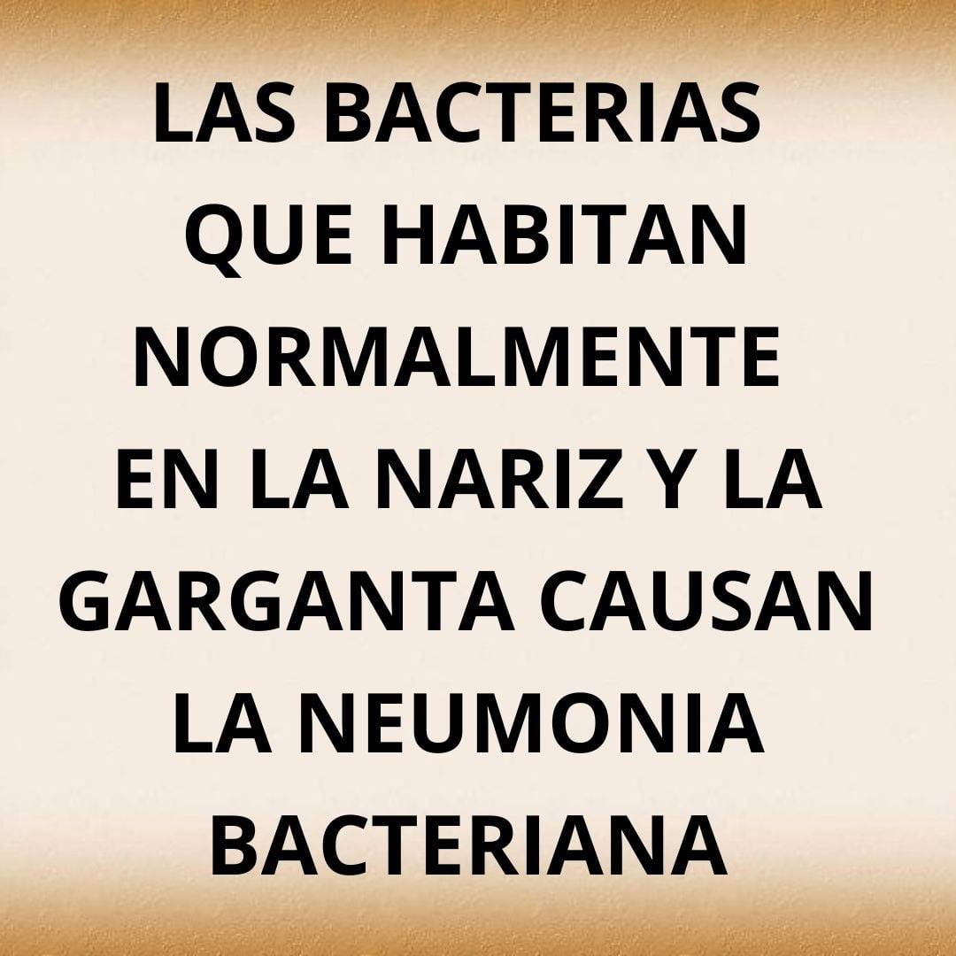 las bacterias 1.jpg