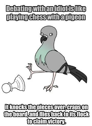 pigeon.jpg