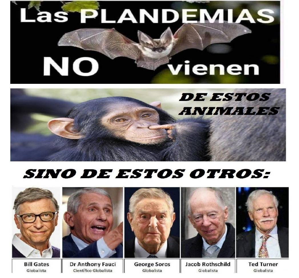 PLANDEMIAS VIENEN DE GLOBALISTA NO DE ANIMALITOS_page-0001.jpg
