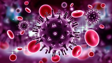 El VIH tiene los días contados: se descubre un método para eliminar al virus de las células infectadas
