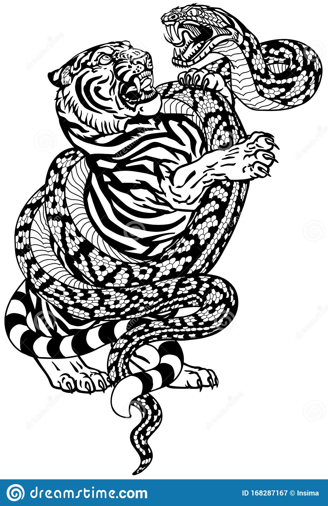 tiger-versus-snake-black-white-tattoo-fight-tiger-snake-angry-reptile-coiled-big-cat-graphic-s...jpg