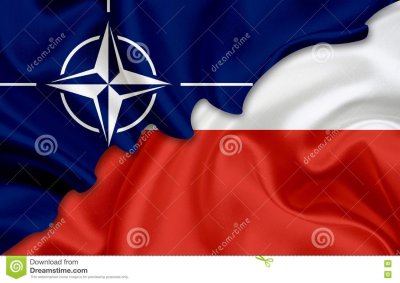 bandera-de-polonia-y-bandera-de-la-otan-78335969.jpg
