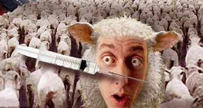 vax sheep.jpg