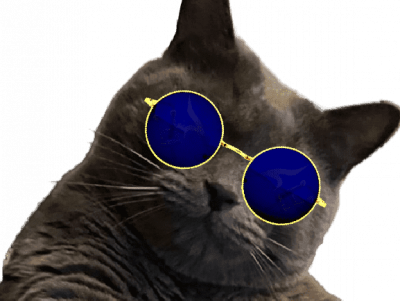 1692223201-chat-lunettes.png
