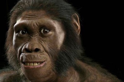 australopithecus_sediba_reconstruccion.jpg