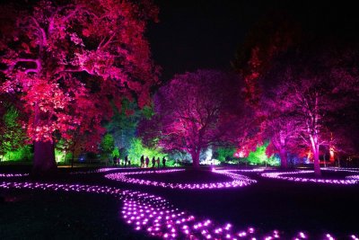 People walk past paths of light and illuminated trees.