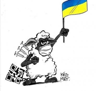banderillas borregos ucrania.jpg