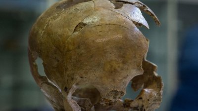 Cráneo Engis 2: es el primer neandertal descubierto, en 1829. Pertenece un infante de pocos años.