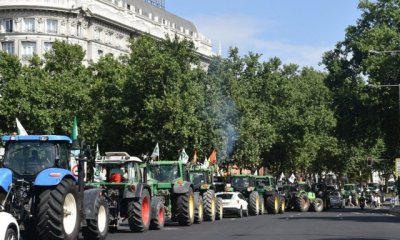 Ahora se une a las protestas Unión de Uniones de Agricultores y Ganaderos, que convoca una tractorada ante el Ministerio de Agricultura el 21 de febrero para reclamar soluciones a la crítica situación del sector