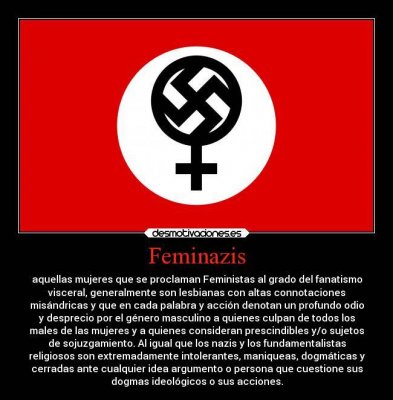 mujer-feminismo-desmotivaciones.jpg