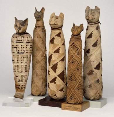 mummified-egyptian-cats.jpg