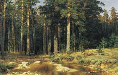 mast-tree-grove-1898.jpg