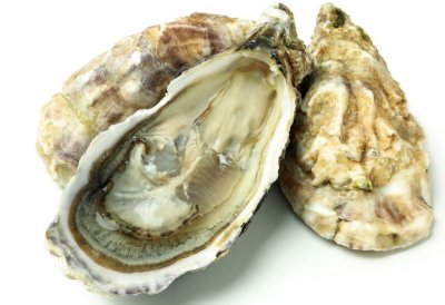 -oysters-isolated-on-white-background-123-1024x699.jpg