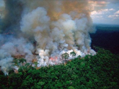 amazonas-arden-los-pulmones-del-planeta-203971-1_768.jpg