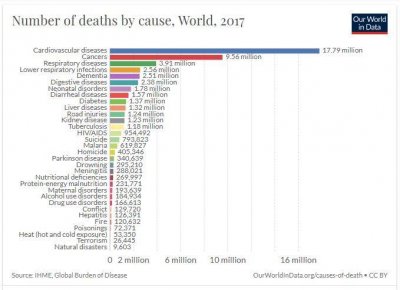 muertes_mundiales_2017.jpg