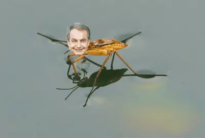 zapatero.png