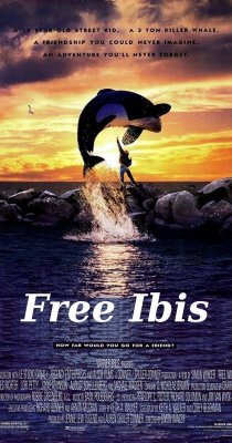 free_ibis.jpg