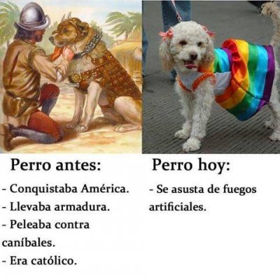 perro-antes-vs-perro-hoy.jpg