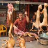 el-festival-de-la-carne-de-perro-de-yulin-628-1434542523.jpeg