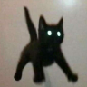 blackcatsmatter