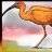 Ibis