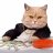schweiz_cat