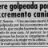 Paisdemierda
