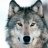 lobo_90