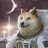 DOGE
