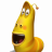 Larva