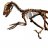 Deinonycus