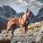 TyWIN