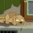 Mr Seymour