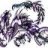 xenoforme