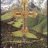 Leolfredo_borrado