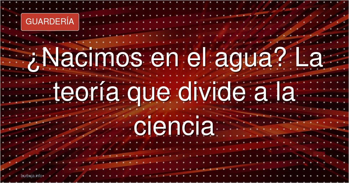 ¿Nacimos en el agua? La teoría que divide a la ciencia