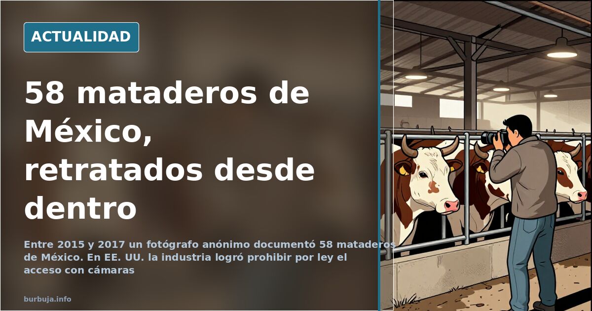 Vista general de una nave industrial de matadero durante la jornada de trabajo, con operarios y jaulas al fondo