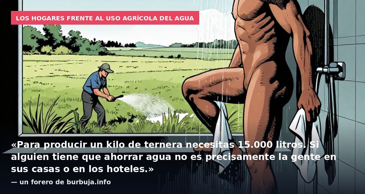 Los hogares frente al uso agrícola del agua: «Para producir un kilo de ternera necesitas 15.000 litros. Si alguien tiene que ahorrar agua no es precisamente la gente en sus casas o en los hoteles.» — un forero de burbuja.info