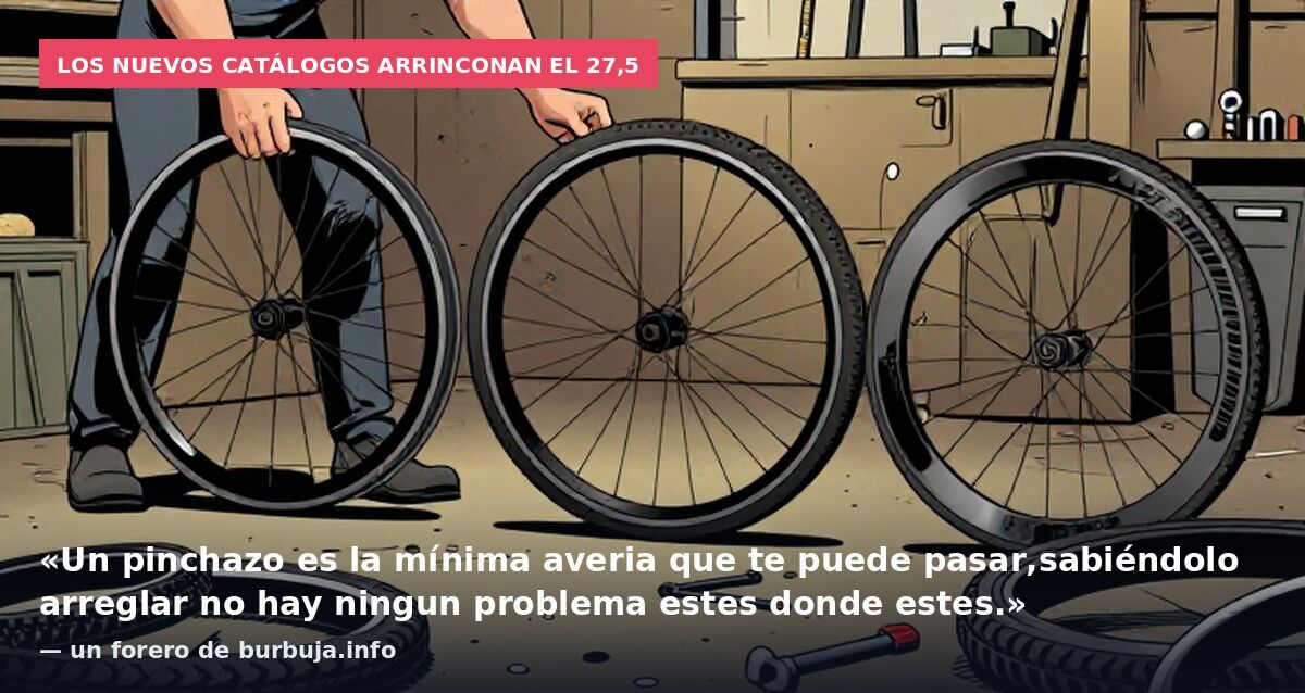 Los nuevos catálogos arrinconan el 27,5: «Un pinchazo es la mínima averia que te puede pasar,sabiéndolo arreglar no hay ningun problema estes donde estes.» — un forero de burbuja.info