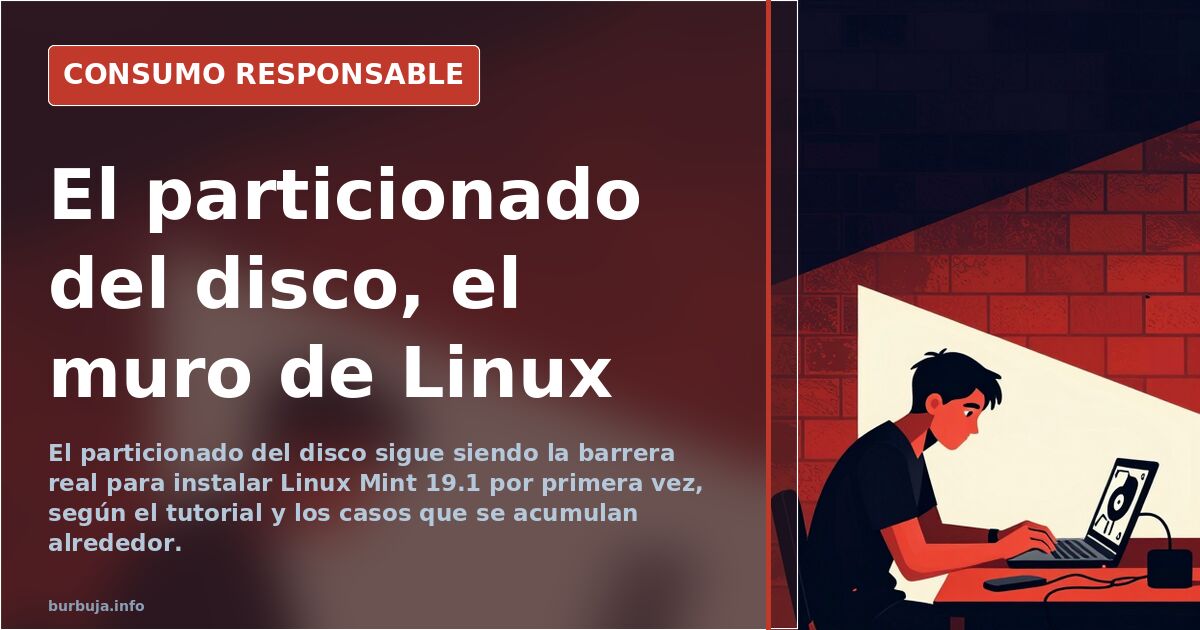 Pantalla de instalación de Linux Mint 19.1 mostrando el asistente de particionado del disco duro