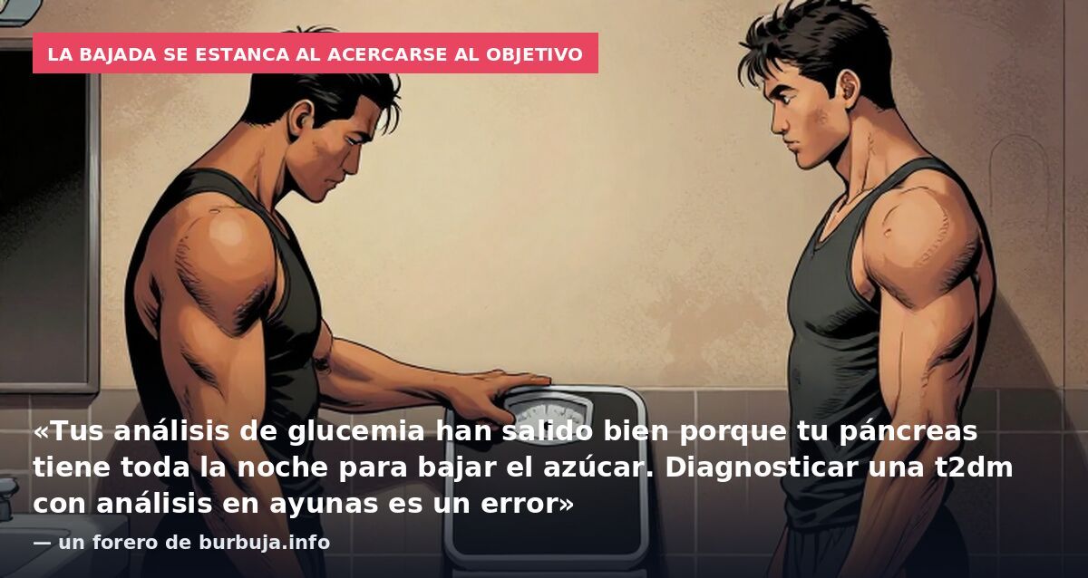 La bajada se estanca al acercarse al objetivo: «Tus análisis de glucemia han salido bien porque tu páncreas tiene toda la noche para bajar el azúcar. Diagnosticar una t2dm con análisis en ayunas es un error» — un forero de burbuja.info