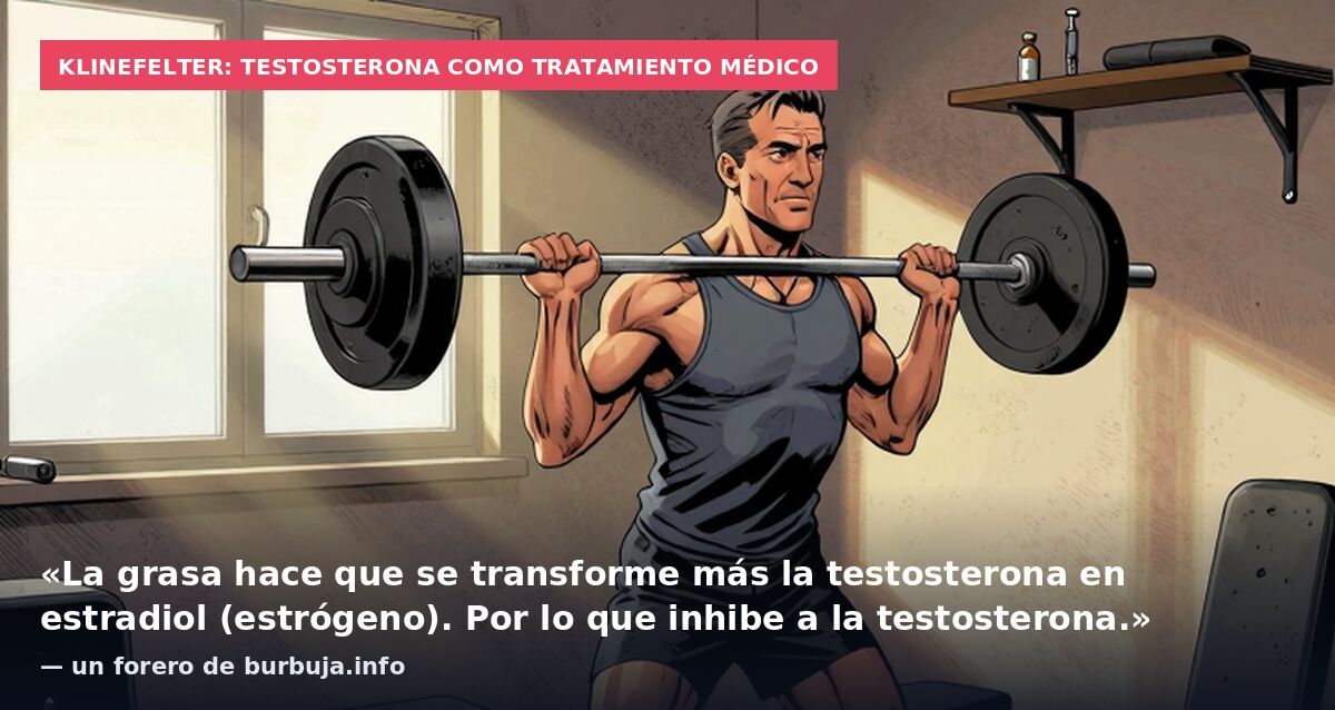 Klinefelter: testosterona como tratamiento médico: «La grasa hace que se transforme más la testosterona en estradiol (estrógeno). Por lo que inhibe a la testosterona.» — un forero de burbuja.info