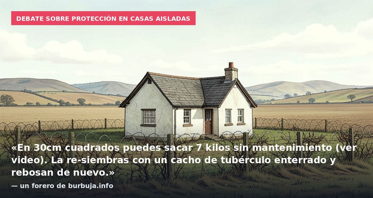Debate sobre protección en casas aisladas: «En 30cm cuadrados puedes sacar 7 kilos sin mantenimiento (ver video). La re-siembras con un cacho de tubérculo enterrado y rebosan de nuevo.» — un forero de burbuja.info