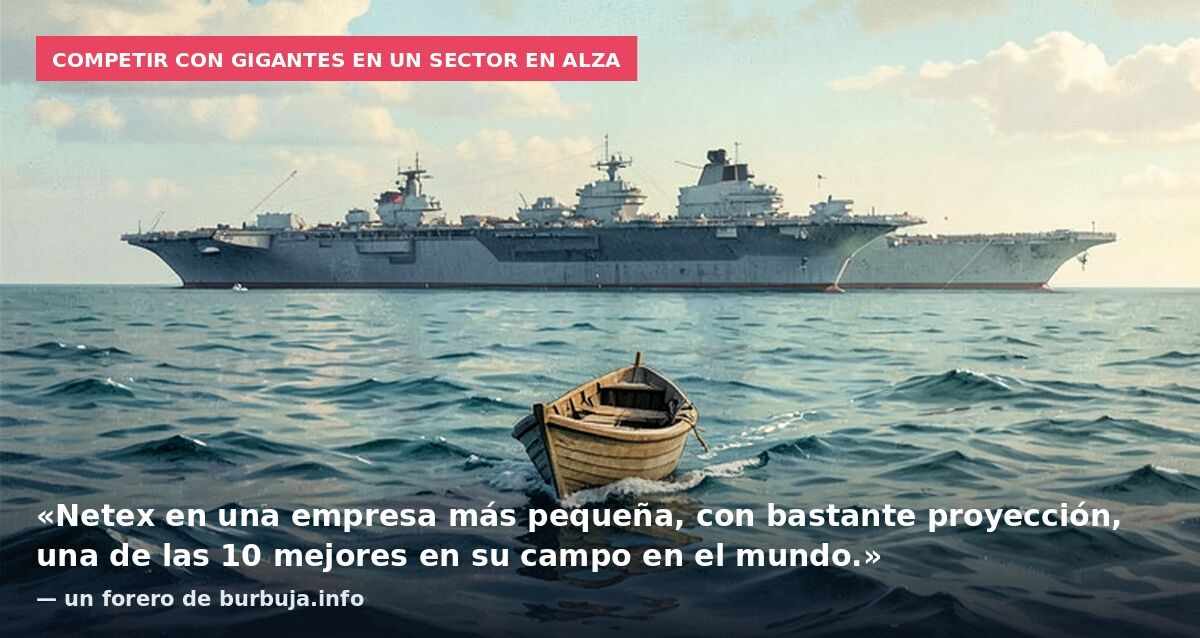 Competir con gigantes en un sector en alza: «Netex en una empresa más pequeña, con bastante proyección, una de las 10 mejores en su campo en el mundo.» — un forero de burbuja.info