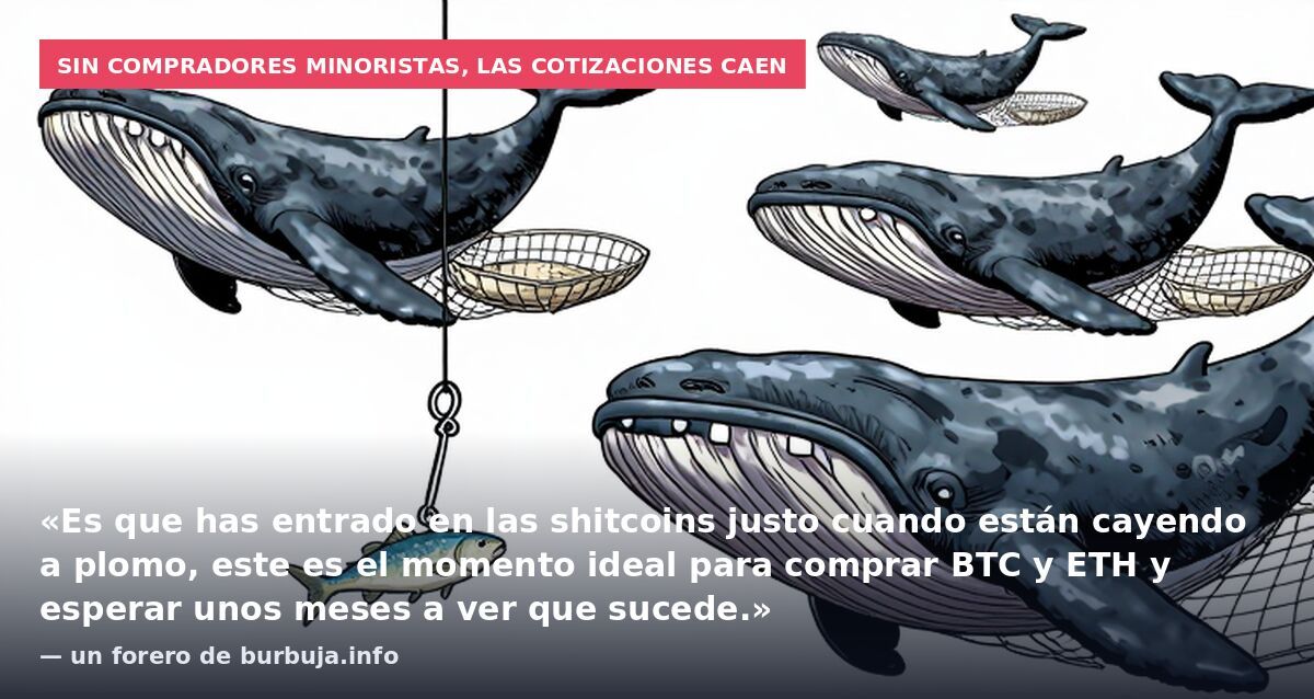 Sin compradores minoristas, las cotizaciones caen: «Es que has entrado en las shitcoins justo cuando están cayendo a plomo, este es el momento ideal para comprar BTC y ETH y esperar unos meses a ver que sucede.» — un forero de burbuja.info