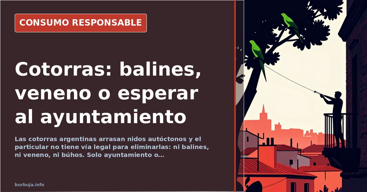 Cotorras argentinas verdes posadas en una palmera urbana, especie invasora que desplaza a aves autóctonas en ciudades español